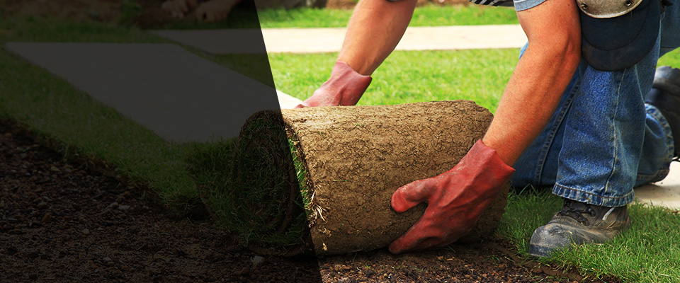 Mountainside Landscapers